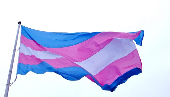 Trans Pride Flag - HiWave