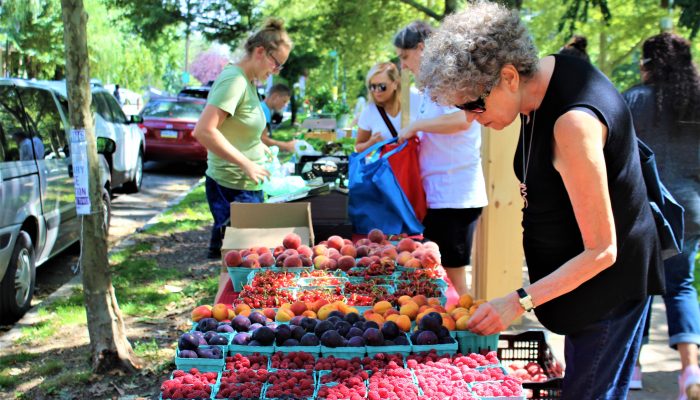 Shoppers at a farmers' market.