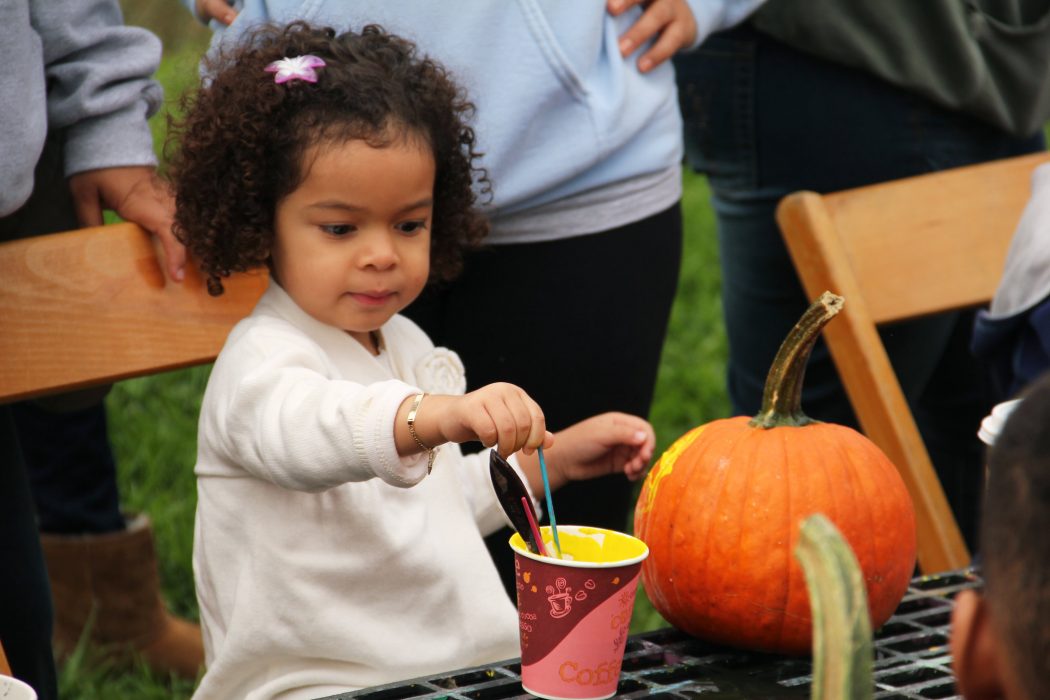 Live music and an Apple Festival!? Count us in!! Join us from 11am