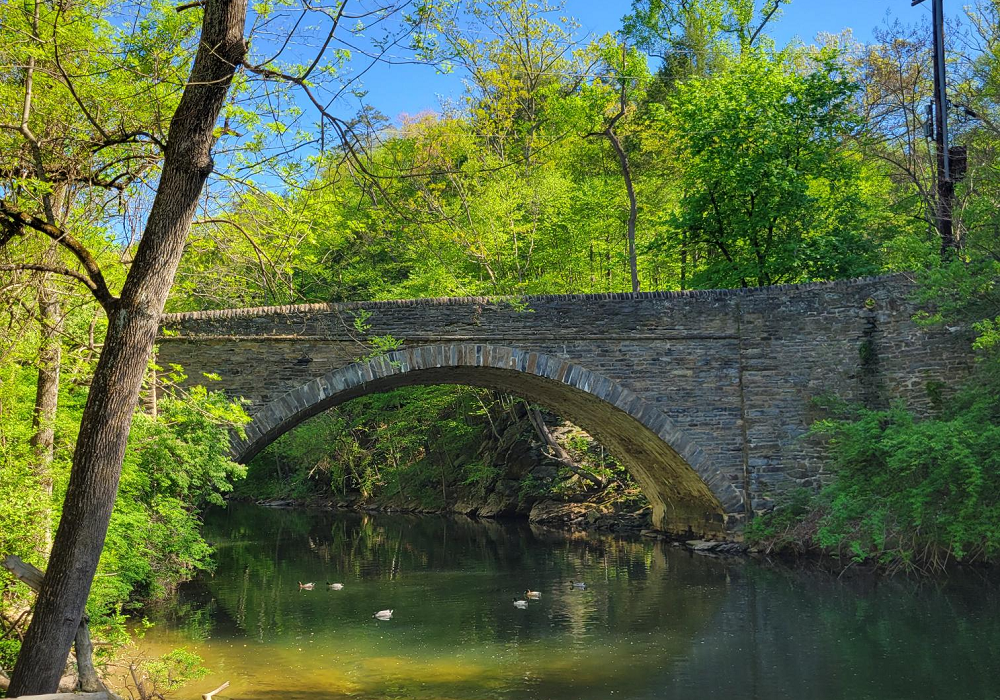 City’s Bridge Project Serves as Successful Case Story for Bipartisan Infrastructure Law Strategy | Office of Transportation and Infrastructure Systems