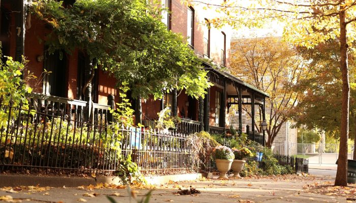 Image of a row of homes