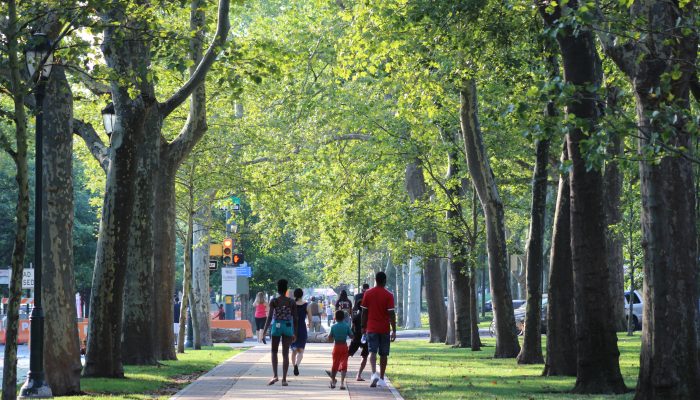 A group of people walking on a tree-lined section of the Benjamin Franklin Parkway on a sunny day